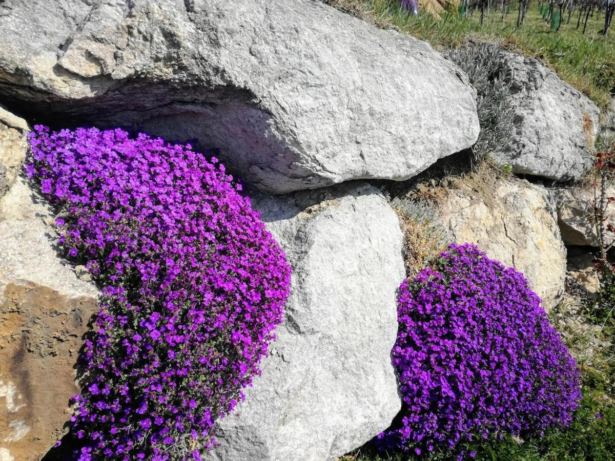 Das Weinberghaus Ratsch an der Weinstrasse Luaran gambar